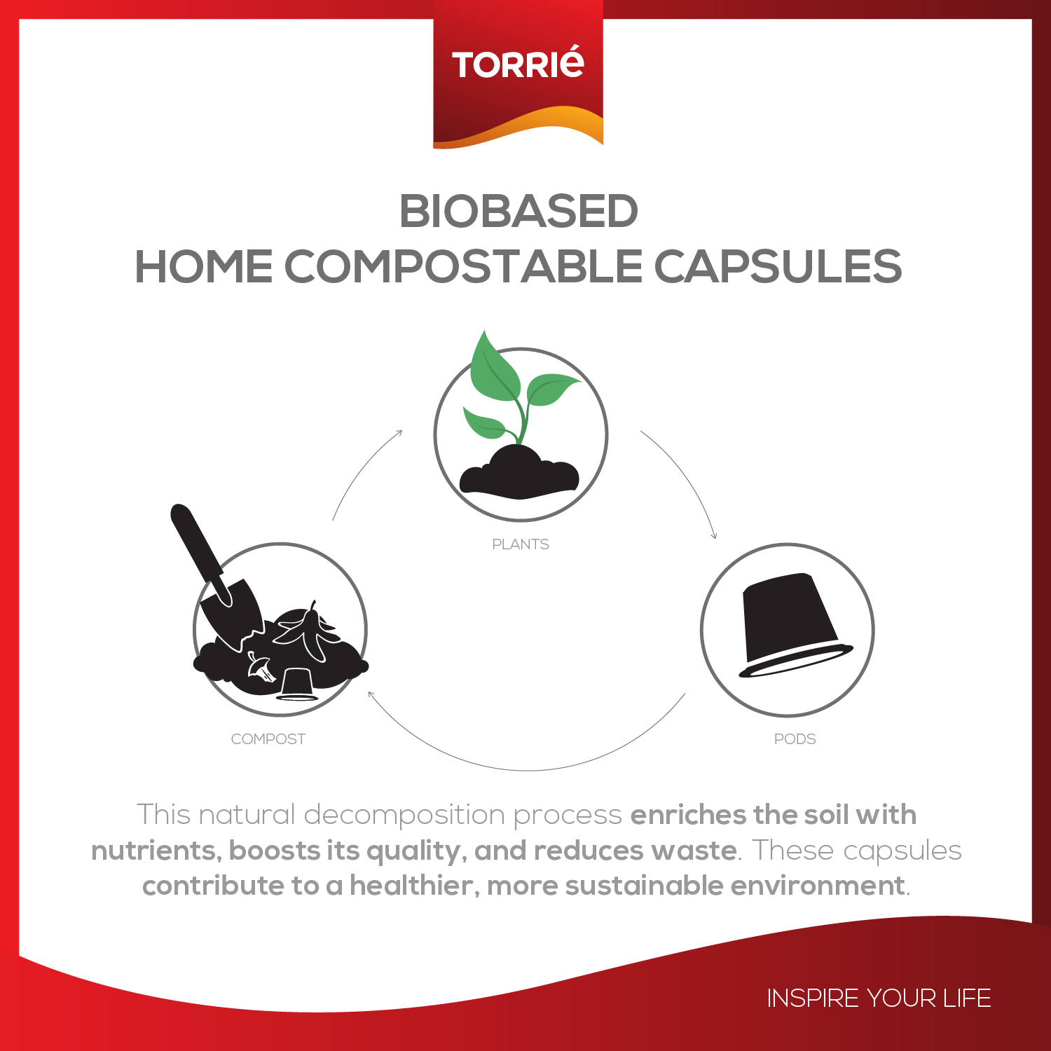 Home Compostable - Classic Taste - Nespresso® Compatible Biodegradable Coffee Pods